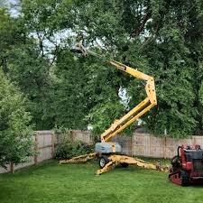 Best Lawn Mowing  in Rockville, MD