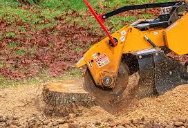 Best Seasonal Cleanup (Spring/Fall)  in Rockville, MD